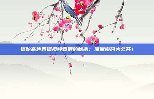 揭秘高迪直播视频背后的秘密：流量密码大公开！