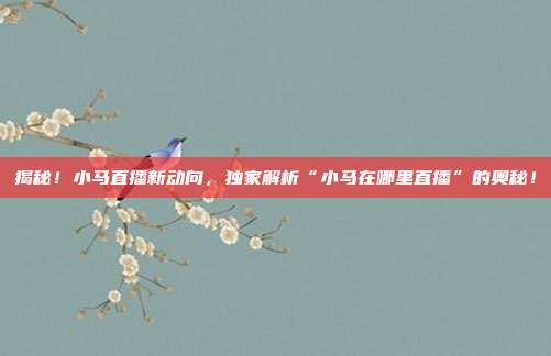 揭秘！小马直播新动向，独家解析“小马在哪里直播”的奥秘！