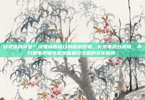 收视密码何在？读懂城市窗口的底层逻辑。北京电视台直播，不只是电视信号更是首都经济圈的文化脉搏。