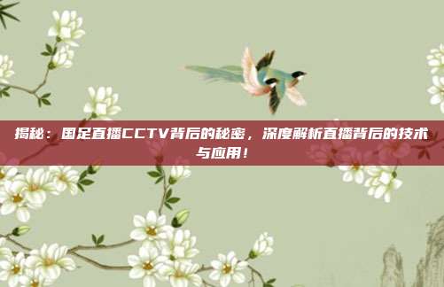 揭秘：国足直播CCTV背后的秘密，深度解析直播背后的技术与应用！