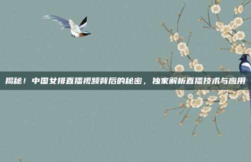 揭秘！中国女排直播视频背后的秘密，独家解析直播技术与应用