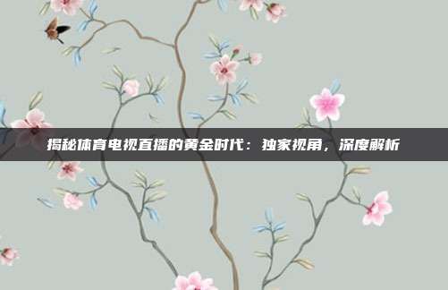 揭秘体育电视直播的黄金时代:独家视角,深度解析
