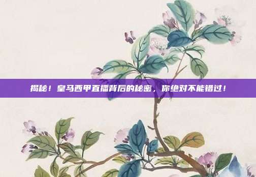 揭秘！皇马西甲直播背后的秘密，你绝对不能错过！