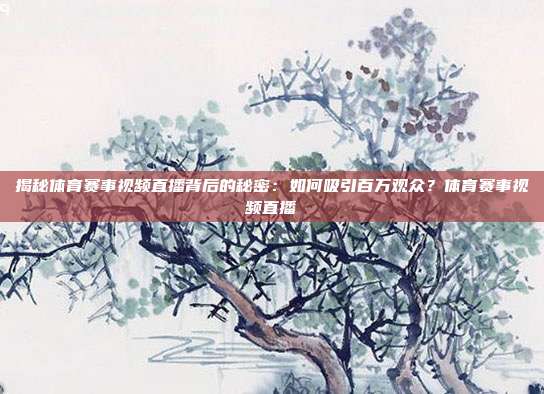 揭秘体育赛事视频直播背后的秘密：如何吸引百万观众？体育赛事视频直播