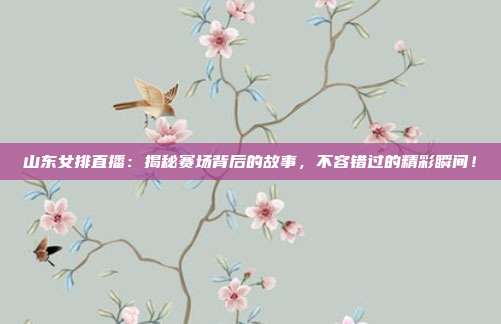 山东女排直播：揭秘赛场背后的故事，不容错过的精彩瞬间！