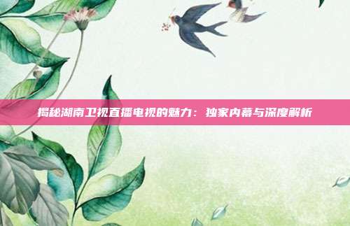 揭秘湖南卫视直播电视的魅力：独家内幕与深度解析