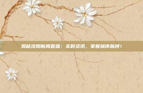 揭秘沈阳新闻直播:实时资讯,掌握城市脉搏!