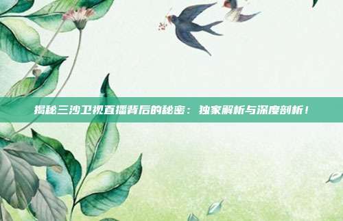 揭秘三沙卫视直播背后的秘密：独家解析与深度剖析！