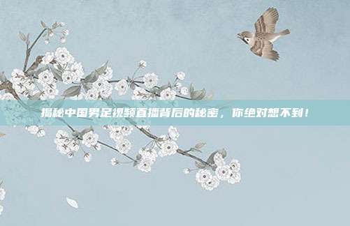 揭秘中国男足视频直播背后的秘密,你绝对想不到!