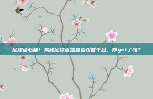 足球迷必备！揭秘足球直播最佳观看平台，你get了吗？