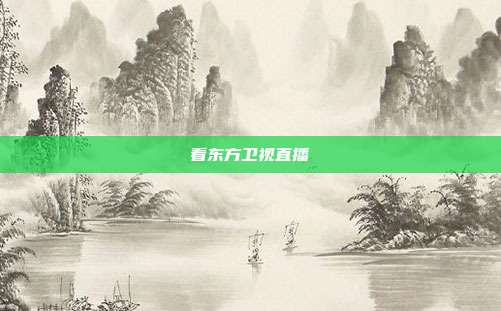 看东方卫视直播