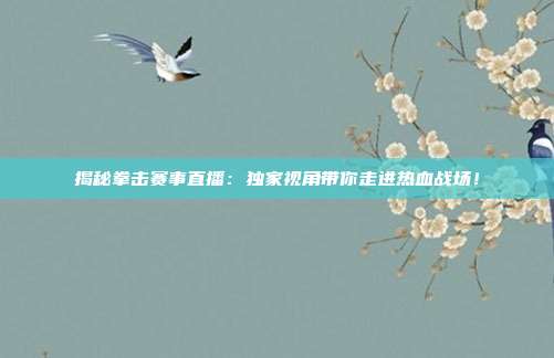 揭秘拳击赛事直播：独家视角带你走进热血战场！