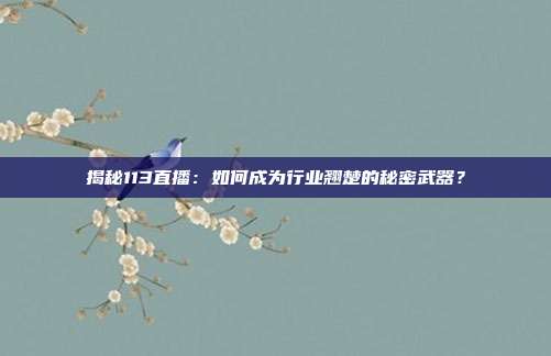 揭秘113直播:如何成为行业翘楚的秘密武器?