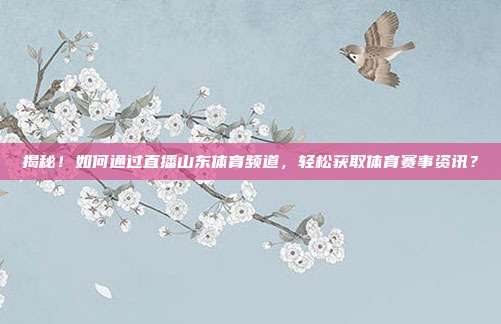 揭秘！如何通过直播山东体育频道，轻松获取体育赛事资讯？