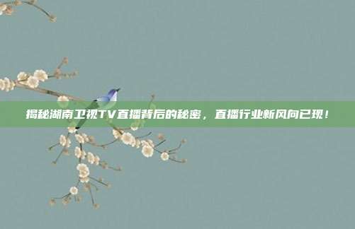 揭秘湖南卫视TV直播背后的秘密，直播行业新风向已现！