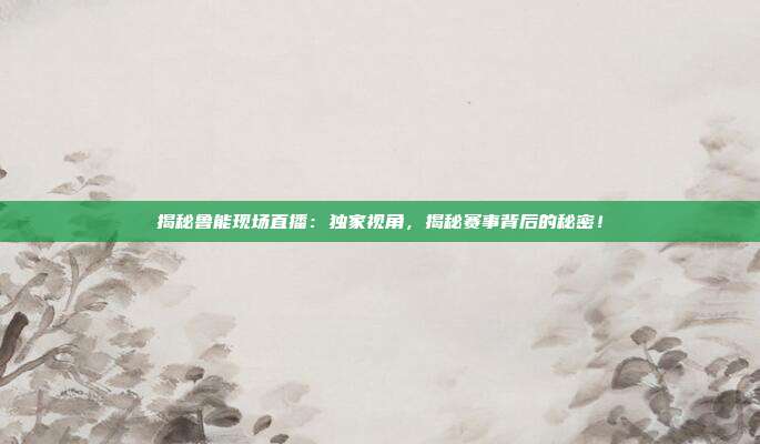 揭秘鲁能现场直播：独家视角，揭秘赛事背后的秘密！