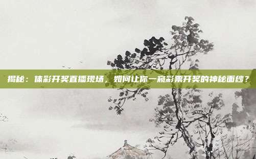 揭秘：体彩开奖直播现场，如何让你一窥彩票开奖的神秘面纱？