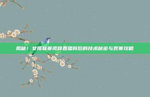 揭秘！女排联赛视频直播背后的技术秘密与观赛攻略