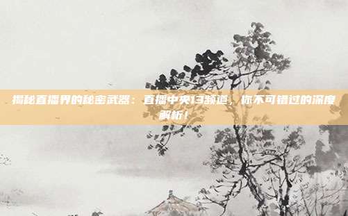 揭秘直播界的秘密武器:直播中央13频道,你不可错过的深度解析!