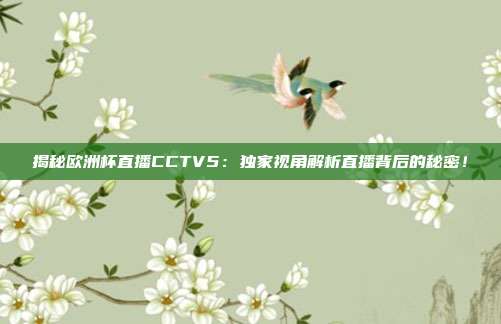 揭秘欧洲杯直播CCTV5:独家视角解析直播背后的秘密!