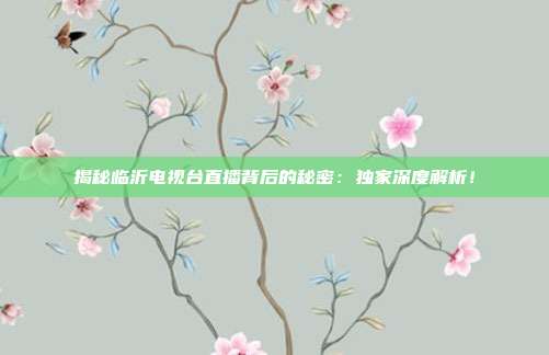 揭秘临沂电视台直播背后的秘密：独家深度解析！