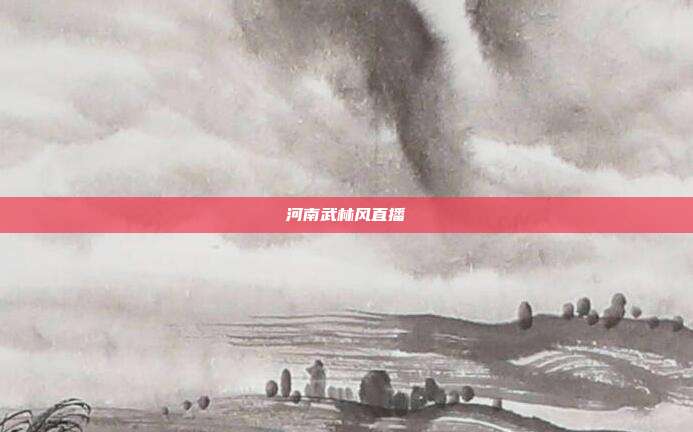 河南武林风直播