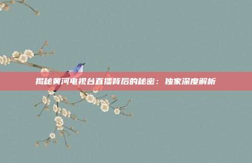 揭秘黄河电视台直播背后的秘密:独家深度解析