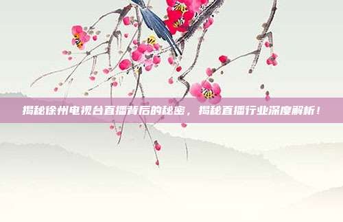 揭秘徐州电视台直播背后的秘密，揭秘直播行业深度解析！