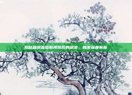 揭秘盐城直播新闻背后的秘密：独家深度解析
