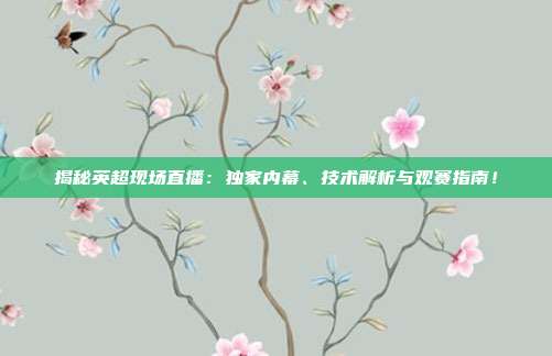 揭秘英超现场直播：独家内幕、技术解析与观赛指南！