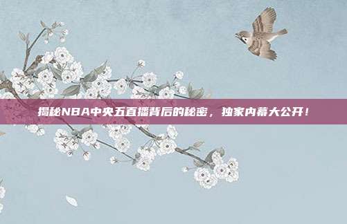 揭秘NBA中央五直播背后的秘密,独家内幕大公开!