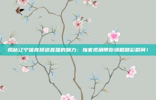 揭秘辽宁体育频道直播的魅力：独家视角带你领略精彩瞬间！