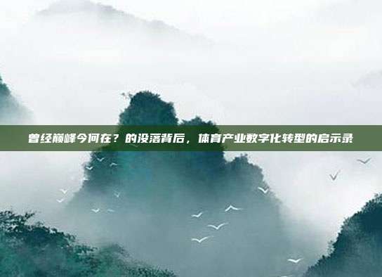 曾经巅峰今何在？的没落背后，体育产业数字化转型的启示录