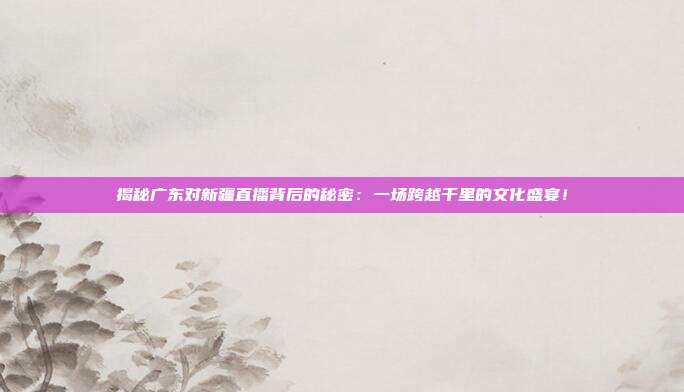 揭秘广东对新疆直播背后的秘密:一场跨越千里的文化盛宴!