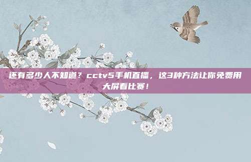 还有多少人不知道？cctv5手机直播，这3种方法让你免费用大屏看比赛！