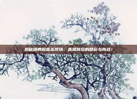 揭秘瑞典超直击现场:直播背后的精彩与挑战!