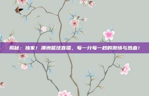 揭秘：独家！澳洲篮球直播，每一分每一秒的激情与热血！