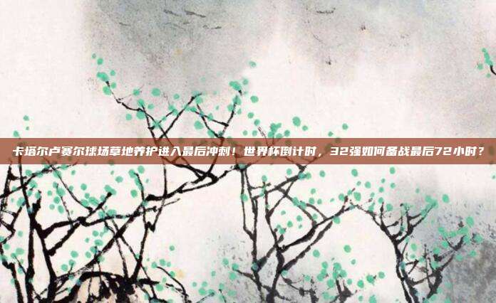 卡塔尔卢赛尔球场草地养护进入最后冲刺！世界杯倒计时，32强如何备战最后72小时？