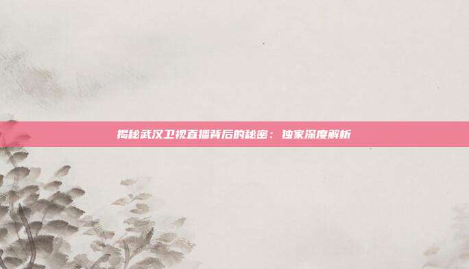 揭秘武汉卫视直播背后的秘密：独家深度解析