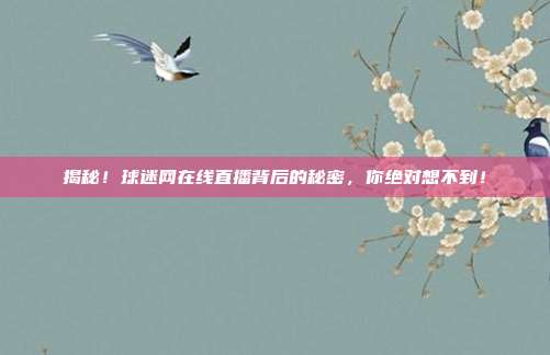 揭秘！球迷网在线直播背后的秘密，你绝对想不到！