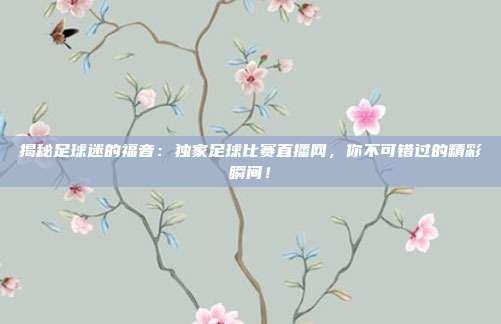 揭秘足球迷的福音：独家足球比赛直播网，你不可错过的精彩瞬间！