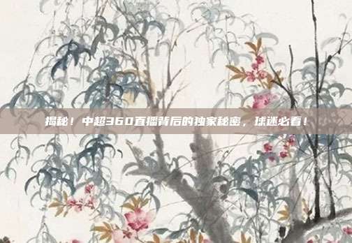 揭秘！中超360直播背后的独家秘密，球迷必看！