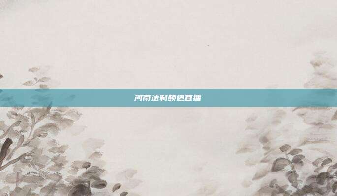 河南法制频道直播