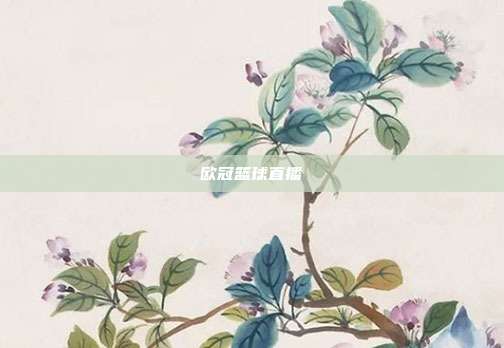 欧冠篮球直播