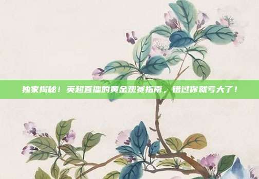 独家揭秘！英超直播的黄金观赛指南，错过你就亏大了！