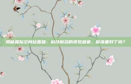 揭秘国际空间站直播:科技前沿的视觉盛宴,你准备好了吗?