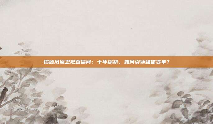 揭秘凤凰卫视直播间:十年深耕,如何引领媒体变革?