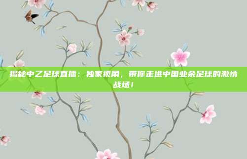 揭秘中乙足球直播:独家视角,带你走进中国业余足球的激情战场!