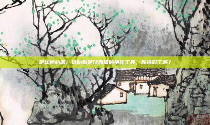 足球迷必备！揭秘看足球直播的绝佳工具，你选对了吗？