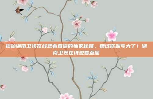 揭秘湖南卫视在线观看直播的独家秘籍，错过你就亏大了！湖南卫视在线观看直播